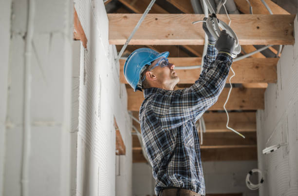 Best Electric Panel Repair  in Los Luceros, NM